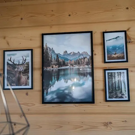 別荘 Siedlisko Leśnica